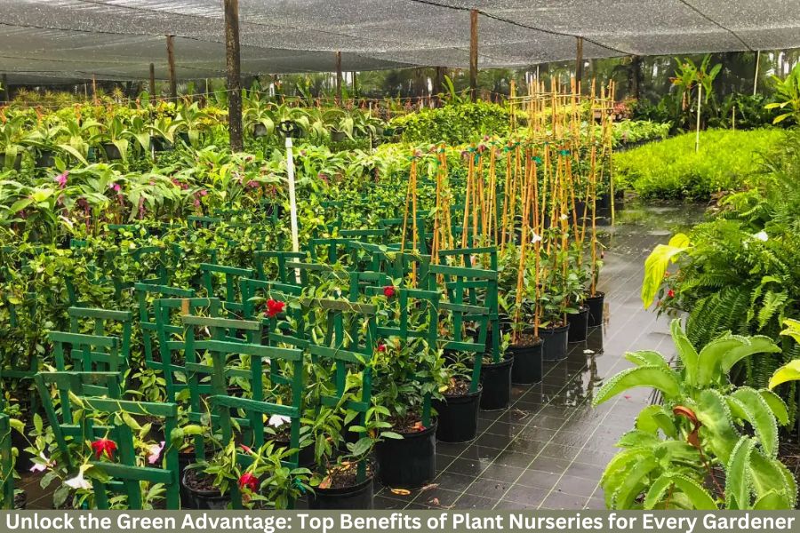 the benefits of plant nurseries webfreen.com